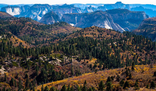 Zion outside the park