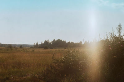 Scenic view of field against sky