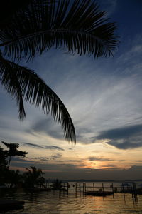 Silhouette palm trees on beach against sky during sunset