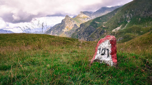 Zebra crossing on field by mountain against sky