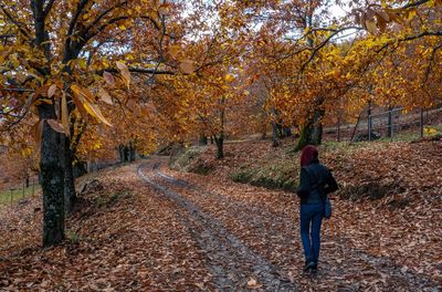 Full length rear view of man walking on street during autumn