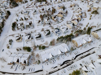 High angle view of snow covered plants