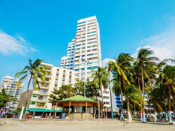 Palm trees and buildings against blue sky