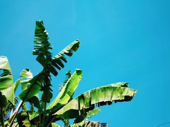 Low angle view of crane against clear blue sky