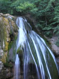 Scenic view of waterfall in forest