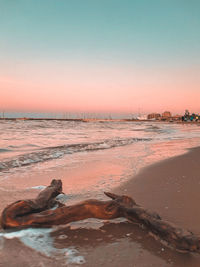 Scenic view of sea against clear sky during sunset