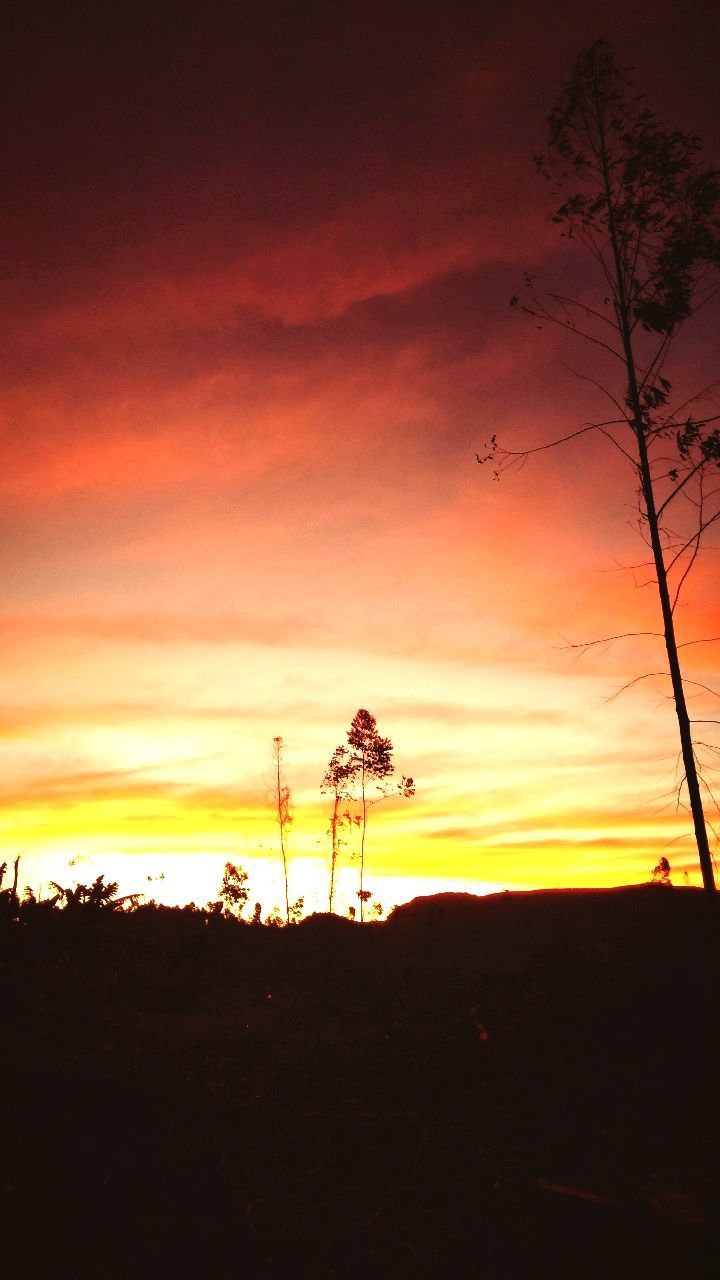 sunset, sky, silhouette, orange color, cloud - sky, beauty in nature, nature, scenics - nature, land, field, tranquility, tranquil scene, outdoors, plant, landscape, environment, dramatic sky, tree, technology, real people