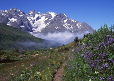 Scenic view of snow covered mountains