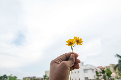 Midsection of person holding flowering plant against sky