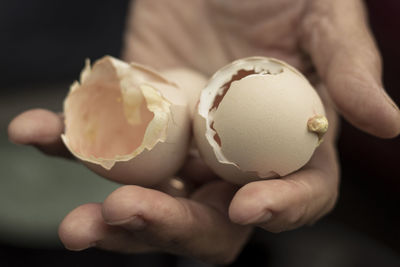 Close-up of villager holds hatched egg shell