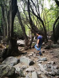 Side view of man standing on rock in forest