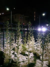 Illuminated street light at night