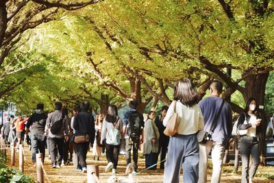 Rear view of people walking in park