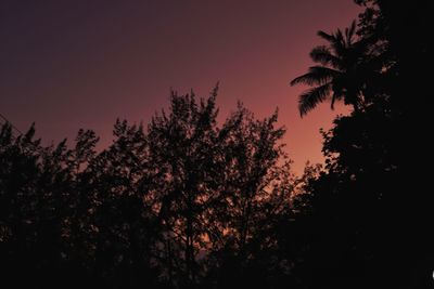 Low angle view of silhouette trees against sky during sunset