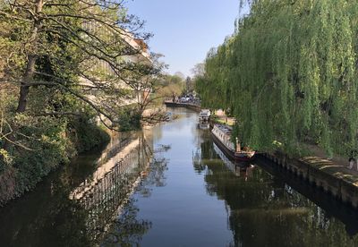 Canal amidst trees against sky