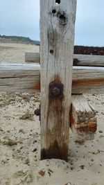 Close-up of wood on beach against sky