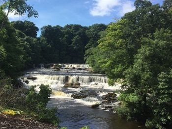 River amidst trees in forest against sky