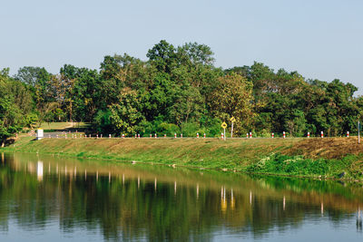 Scenic view of lake by trees against clear sky