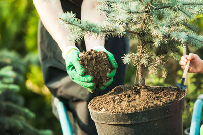 Close-up of hand holding potted plant