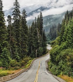 Road amidst trees in forest against sky