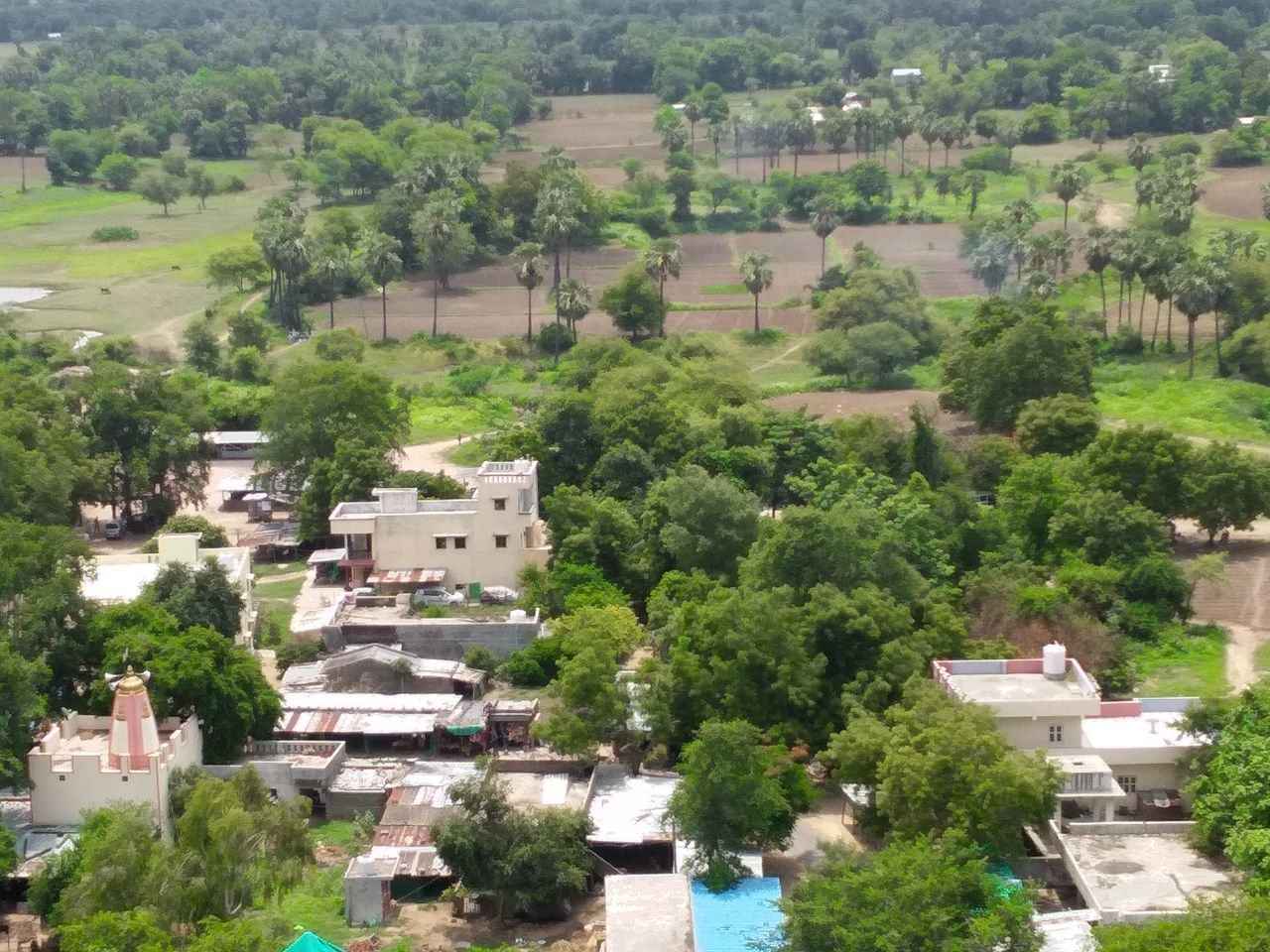 tree, plant, village, town, architecture, high angle view, built structure, building exterior, residential area, building, neighbourhood, nature, day, aerial photography, growth, green, estate, residential district, city, bird's-eye view, no people, outdoors, house, tourism, suburb, land, environment