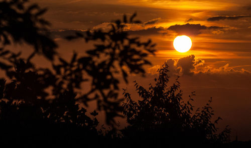 Silhouette trees against sky during sunset