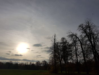 Trees on field against sky at sunset