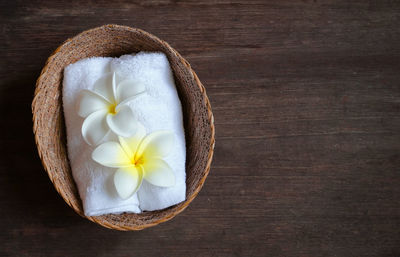 Directly above shot of white rose on table