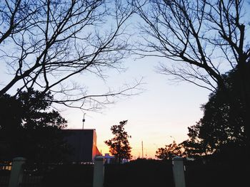 Low angle view of silhouette trees against sky