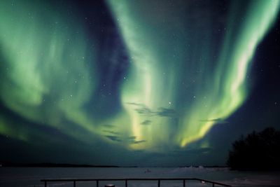 View of sky at night