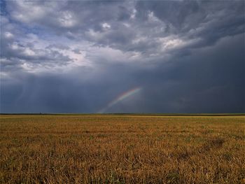 Scenic view of field against rainbow in sky