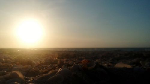 Scenic view of landscape at sunset