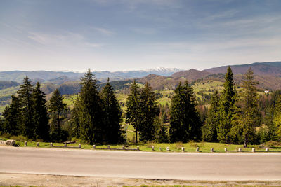 Scenic view of trees by mountains against sky