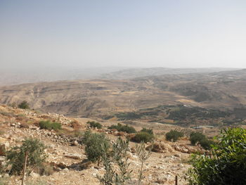 Scenic view of landscape against clear sky