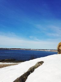 Scenic view of beach against clear blue sky