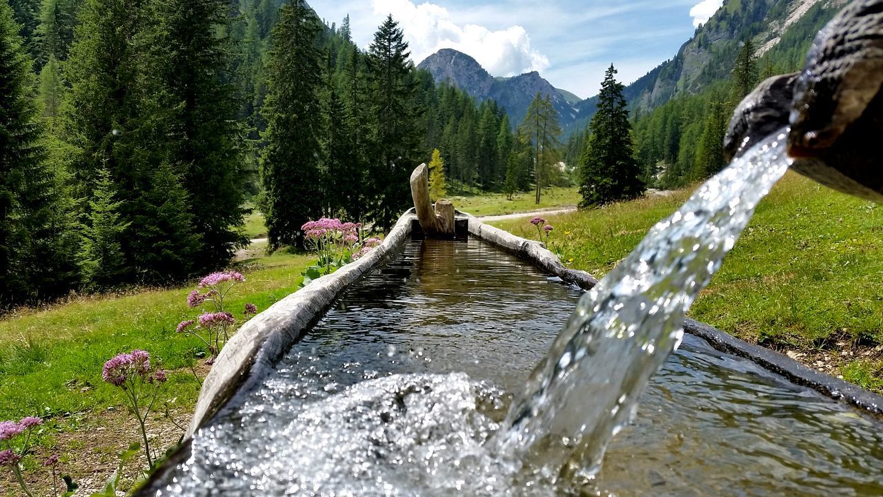 water, tree, stream, mountain, beauty in nature, nature, scenics, green color, river, tranquility, flowing water, tranquil scene, flowing, forest, growth, leisure activity, day, non-urban scene, lifestyles, idyllic, outdoors, grass, plant, sky, lush foliage, landscape, rippled, non urban scene