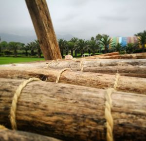 Close-up of tree trunk on field against sky