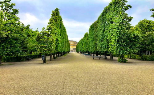 Trees in park against sky