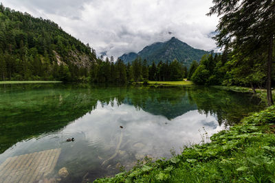 Scenic view of lake by trees against sky