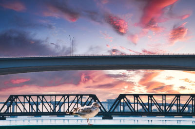 Bridge over river against sky during sunset