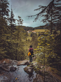 Rear view of man standing on rock in forest