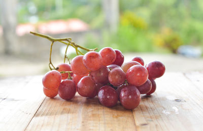 Close-up of grapes on table