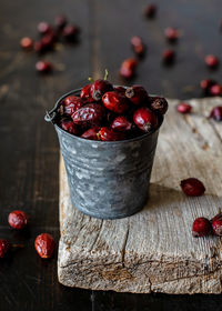 Rose hip on old wood