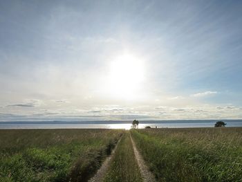 Scenic view of grassy field against cloudy sky