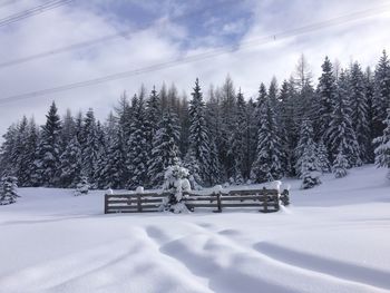 Snow covered trees in forest against sky