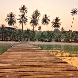 Scenic view of palm trees at beach against sky