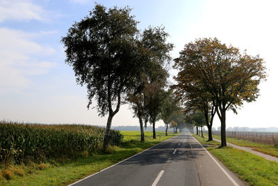 Road passing through field