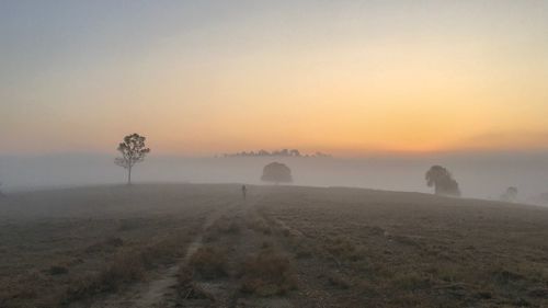 Scenic view of field against sky during sunset