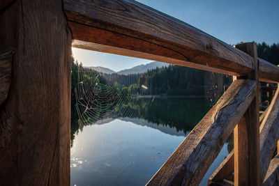 reflection