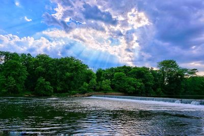 Scenic view of river amidst trees against sky